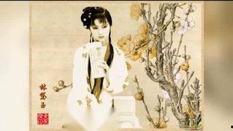 黛玉葬花搞笑视频,花落谁家笑料多  第2张