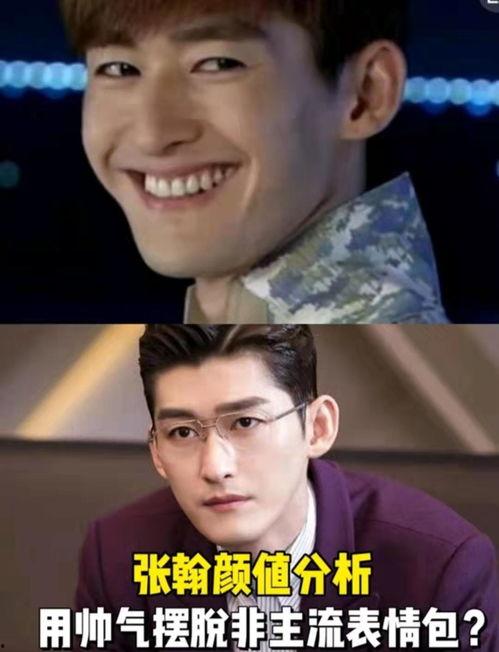 张翰黑白表情包,演绎黑白两面的魅力  第2张