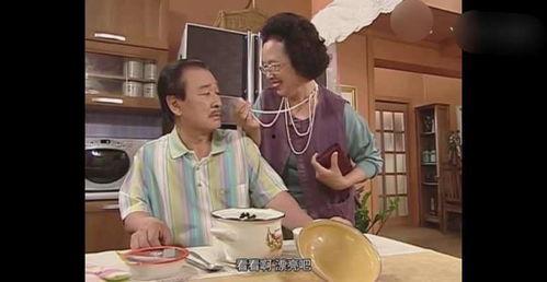 搞笑一家人翻拍,搞笑一家人全新翻拍，经典再现  第3张