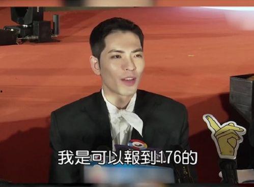 176男明星,魅力无限，风采独树一帜