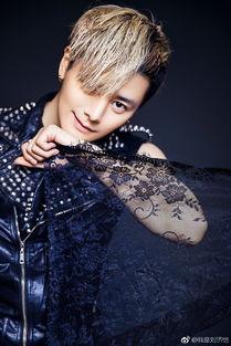 刘济恺整容前照片,蜕变之路的惊人转变